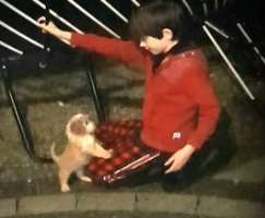 The actor has adopted a dog in his home since he was a small boy.